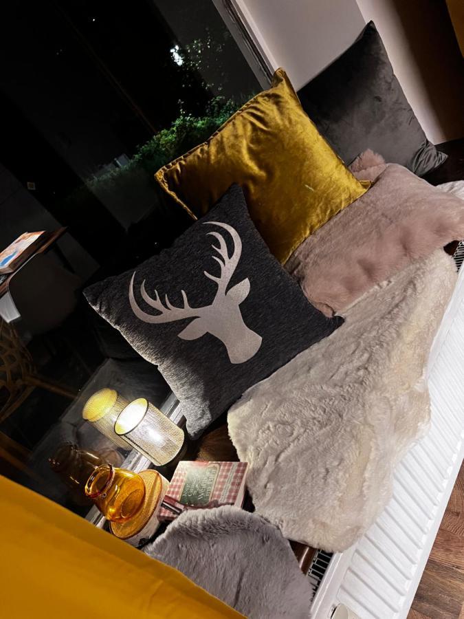 Bavaria Mountain Lodge Ski Arber Osser Bayrischer Wald Designer Ferienwohnung Lohberg Bagian luar foto